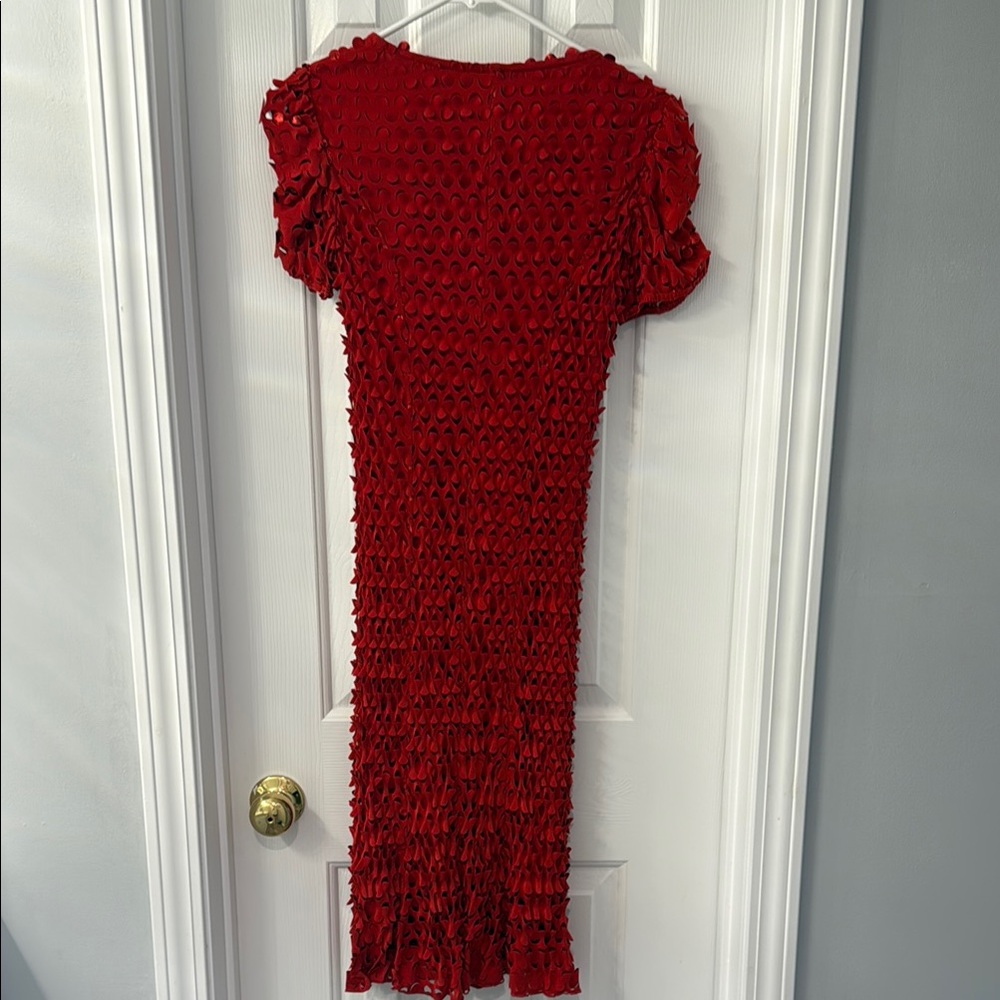 Chic Red Textured Dress - Picture 6 of 6